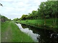 N8325 : Grand Canal in Landenstown, Co. Kildare by JP