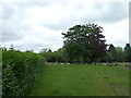 June 2012, Hollybrook Cemetery (132)