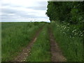 Farm track, Glentworth Cliff