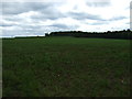 Farmland, Glentworth