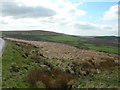 View southeast from Great Hill