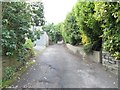 Footpath - Kirk Lane