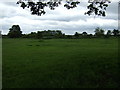 Grazing land near Upton