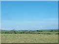 Mown hay west of Deer Park Road