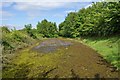 Abandoned Road