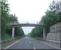 Dog on a Footbridge - Llanidloes