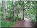 Woodland path, Calderglen Country Park