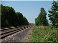 Railway at Bagillt station