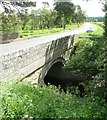 Battle Bridge over Edlingham Burn