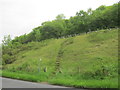 Steps for footpath to Coxhoe Bank Plantation