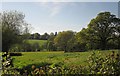 Trees and field by the Otter