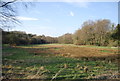 Marshland near Maresfield