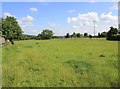 Field north of Church Lane