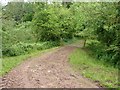 Footpath near Hollywood Cottage