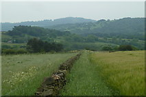 SK3360 : Footpath across fields by Andrew Hill