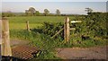 Cattle grid by Stockland Hill