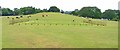 SU3008 : Lyndhurst Cricket Pitch by Mike Smith