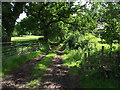 Footpath in Samlesbury