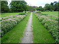 In The Grange Gardens, Beddington Park