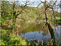 The River Coquet Below Thrum Mill