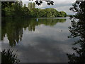 TQ0367 : St Anne's Lake by Alan Hunt