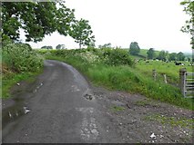 H4074 : Millbrae Road, Dunwish by Kenneth  Allen