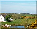 Paddocks and whins on the Carrowbane Road