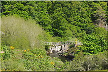 NT7860 : Elba footbridge from the west by Jim Barton