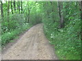 Access track to Carr House Farm near Kelloe