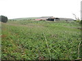 Farm buildings at Caer Bran Farm