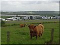 Sheffield city airport