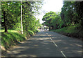 A264 at the eastern edge of Rusthall Common