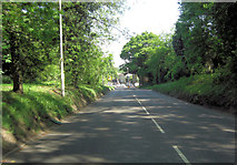TQ5639 : A264 at the eastern edge of Rusthall Common by Stuart Logan