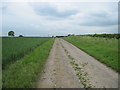 Track  past  barn  toward  High  House  Farm