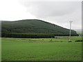 Farmland at Crawfordjohn