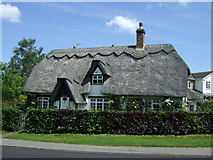 TL1466 : Thatched cottage, West Perry by JThomas