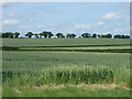 TL1266 : Farmland, Agden Green by JThomas