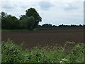 Farmland off Staughton Road