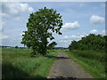 Footpath to Chadwell End