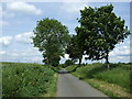 Lane heading north, Chadwell End