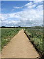 Old Track to Lower Hoddern Farm (1)