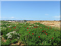 Peacehaven Wastewater Treatment Works