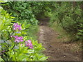 Bridleway by Turner