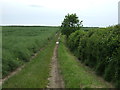 Footpath to Ringstead