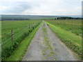 Track leading from Sedgemoor House