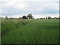 Field  edge  toward  Grizzle  Field  House