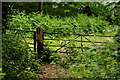 Gate on the Bridleway, Apse Heath, Isle of Wight