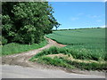 The Wansdyke heading east