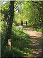 Footpath, Trenchford Reservoir