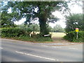 Ungated entrance to a field, Rhadyr